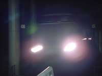 なすの239号