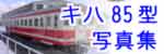 Ln85^ʐ^W