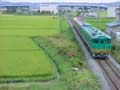 L40E48nӂ邳